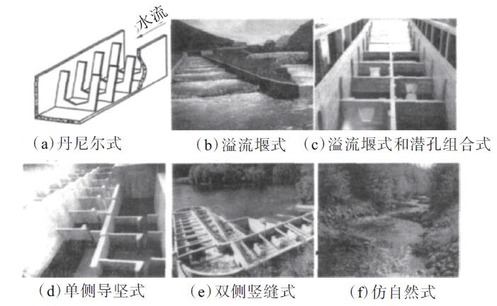 书馆-隧道网